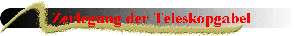 Zerlegung der Teleskopgabel