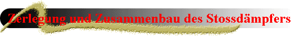 Zerlegung und Zusammenbau des Stossdmpfers
