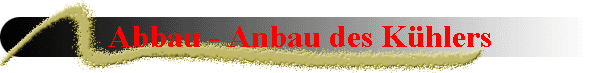 Abbau - Anbau des Khlers